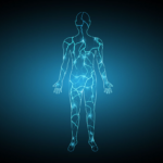 Unleashing the Power Within: Exploring the Wonders of Bioelectricity!